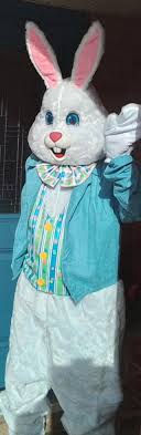 April 1, 2023 Superstitions cougar chasing a rabbit shadow! Superstition  Blvd & Goldfield Rd