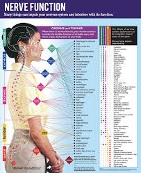 Image result for Myelitis