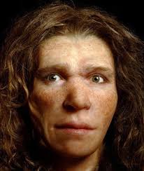 Neanderthal anatomy differed from modern humans in that they had a more robust build and distinctive morphological features, especially on the cranium, which gradually accumulated more derived aspects, particularly in certain isolated geographic regions. Pin On Arheoloske Misterije
