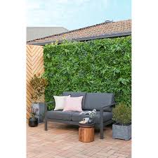 At flowering i gave t a spray of water with 10% honey from the hives down the back. Un Real 100 X 100cm Luxury Artificial Hedge Tile Flower Rush Bunnings Australia