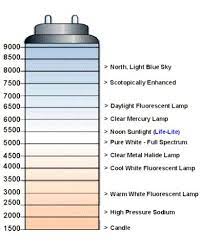 An Explination Of Kelvin Temperature And Where Our 5500k Life Lite Lamps Measure On The Kelvin Temperature Scale Mercury Lamp Work Space Fluorescent Lamp