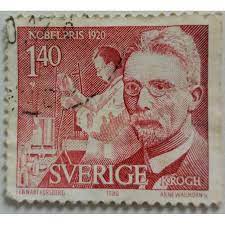 Um alle beiträge ohne werbung sehen und lesen zu können, muss man. Briefmarke Schweden 1 40 Krone Schack Krogh Nobelpreis Wissenschaft 1920 1980