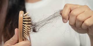 Mit den jahren werden unsere haare grau und spürbar weniger. Entstehung Von Haarausfall Curado