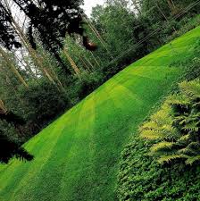 Fort erie new homes and condo developments. Lawn Fx Professional Lawn Care Home Facebook