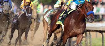 Premium content subscribers also get access to the picks days in advance and are not shown advertisements. Parx Racing Picks On Tuesday December 22 Racingpicks