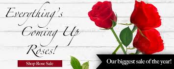 By picking our flower delivery service you can send flowers in phoenix right from your phone. Iomav3lvirjxam