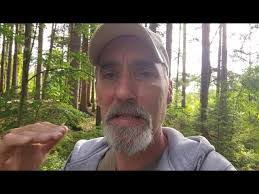 Amelia Mcelroy's Instagram, Twitter & Facebook