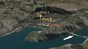 Named after grand admiral alfred von tirpitz, the architect of the kaiserliche marine (imperial navy). Nazi Legacy Found In Norwegian Trees Bbc News