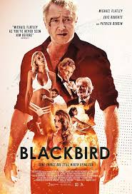 In the year 2199, a young woman who has lost everything finds a new life at earth's space training academy where she learns to defend the galaxy from intergalactic threats. Eric Roberts Patrick Bergin And Michael Flatley In Blackbird 2018 Michael Flatley Streaming Movies Online Black Bird