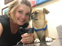 Lost dogs in Sunland Tujunga area found