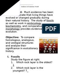 Natural selection can place pressure on specific phenotypes and cause a change in the frequency of the alleles that produce the. Evidence Of Evolution Worksheet Murch 2013answers Paleontological Concepts And Hypotheses Evolution