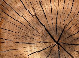 If by now you have got your design ready to be etched, you're ready to start. 20 Free Diy Wood Burning Patterns You Can Create Today With Pictures Healthyhandyman