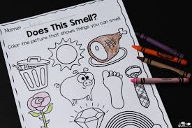 This week the children will explore and learn about the five senses; Five Senses Science Unit Hands On Learning Activity