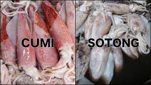 Umumnya ukuran tubuhnya lebih besar dibanding cumi. Hampir Mirip Saat Dimasak Ini 4 Perbedaan Cumi Dan Sotong Keduanya Sama Sama Enak Dan Sehat