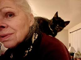 Hi friends! This is Momo, our sweet and sassy tortie. When she was found