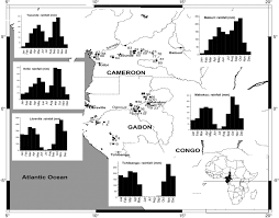 Image result for Landolphia letestui