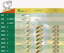 Image Result For Lamb Feeding Chart Lamb Down On The Farm