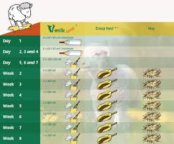 image result for lamb feeding chart lamb down on the farm