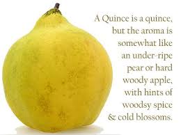 A Quince Is A Quince
