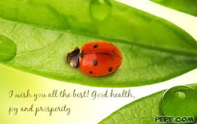 An executive coach who helps people make better use of their time, from productivity to living their life's mission. Good Health Wishes Quotes Quotesgram