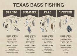 a guide to texas bass fishing bass fishing tips fishing