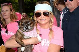 Please note that beginning july 1, 2015 the state of tennessee began enforcing new regulations with the recent adoption of the 2009 fda food code. Miranda Lambert S Muttnation Helping Empty Nash Animal Shelter