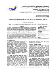 Image result for Commiphora fulvotomentosa