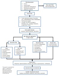 Nurses have a huge set of responsibilities for handling a patient with cancer. Palliative Care For The Patient With Incurable Cancer Or Advanced Disease Part 2 Pain And Symptom Management Province Of British Columbia
