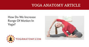 Here at paoli pa locksmith store our company provides affordable and professional locksmith service 24/7 all year long in paoli, pa metro area. What Are We Stretching In Yoga Yoganatomy