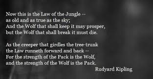 Below you will find our collection of inspirational, wise, and humorous old jungle quotes, jungle sayings, and jungle proverbs, collected over the years from a variety of sources. Law Of The Jungle Law Of The Jungle Wisdom Jungle