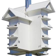 I've gone through several different styles of purple martin houses over the years.this one is a favorite of the birds— and me because of how easy it is to. Poly Wood T 14 Purple Martin House
