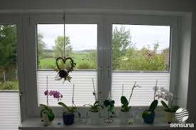 Sichtschutz Plissee Rollos An Tur Und Fenstern Zum Balkon Plissee Vorhange Balkonfenster Plissee Rollo