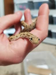 176.78k 86% girlfriend first time cuckold with stranger from party 2:09. Hi Am Not Shy Anymore Sneks