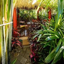 Create Your Own Tropical Backyard Oasis Tropical Backyard Tropical Landscaping Tropical Garden Design