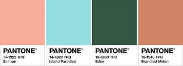Pantone pms 4033 color in 2020 colour palettes tpx limpet shell sockeye salmon metallic pantone color swatches twenty five colored marilyns colour of the salmon solid color twin comforter backgrounds hex colors pantone 2746c 7534 Salmon Color Pantone