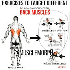 Back Muscles Exercises Weighteasyloss Com Sport And