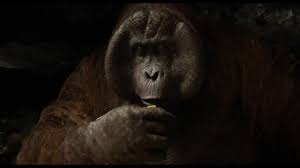 The zoo atlanta family is saddened by the passing of ivan the western lowland gorilla, 50 years old and a cherished member of our collection since 1994. The One And Only Ivan Release Date Cast Movie Plot News 2020