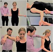 Image result for Shoulder Exam