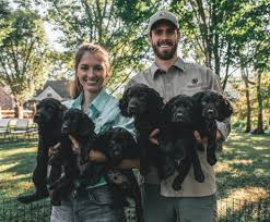 The boykin spaniel society® is our brand. Puppies Valley Way Kennels