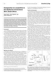 Image result for Haumaniastrum coriaceum