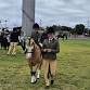 Barham Koondrook Agriculture Show: Horse program event image
