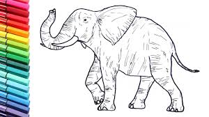 Drawing And Coloring A Elephant Wild Animals Color Pages For Childrens Youtube