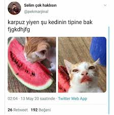 Mizah Sov Panosundaki Pin