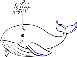 Check spelling or type a new query. How To Draw A Whale In A Few Easy Steps Drawing Of Blue Whale Full Size Png Download Seekpng