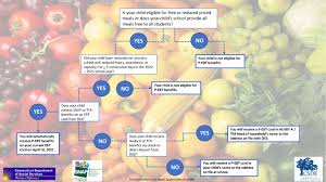 We did not find results for: Pandemic Ebt P Ebt Eligibility