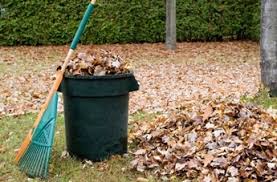 Knowing how to hire your skip and for more information about clearing up garden waste, check out are helpful blog, filled with help and. What Not To Put In With Your Yard Waste Scarce