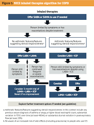 Image result for Medications in COPD Management