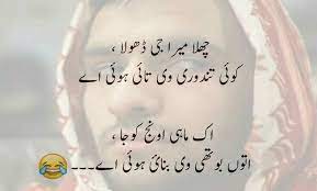 ایک دوست میری زندگی میں ایسا ہے پھولوں میں ایک غلاب جیسا ہے میری دوستی کی حد اس پہ ختم ہے زمیں پہ رہتا ہے مگر چاند جیسا ہے. Pin On Panjabi Poetry