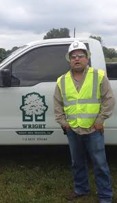 Wright Tree Service || Fidel Alvarez