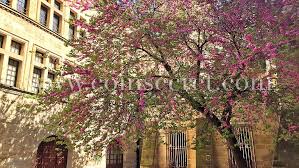 Location D Un Appartement De Vacances A Uzes Gard Provencal Appartement Locations Vacances Vacances